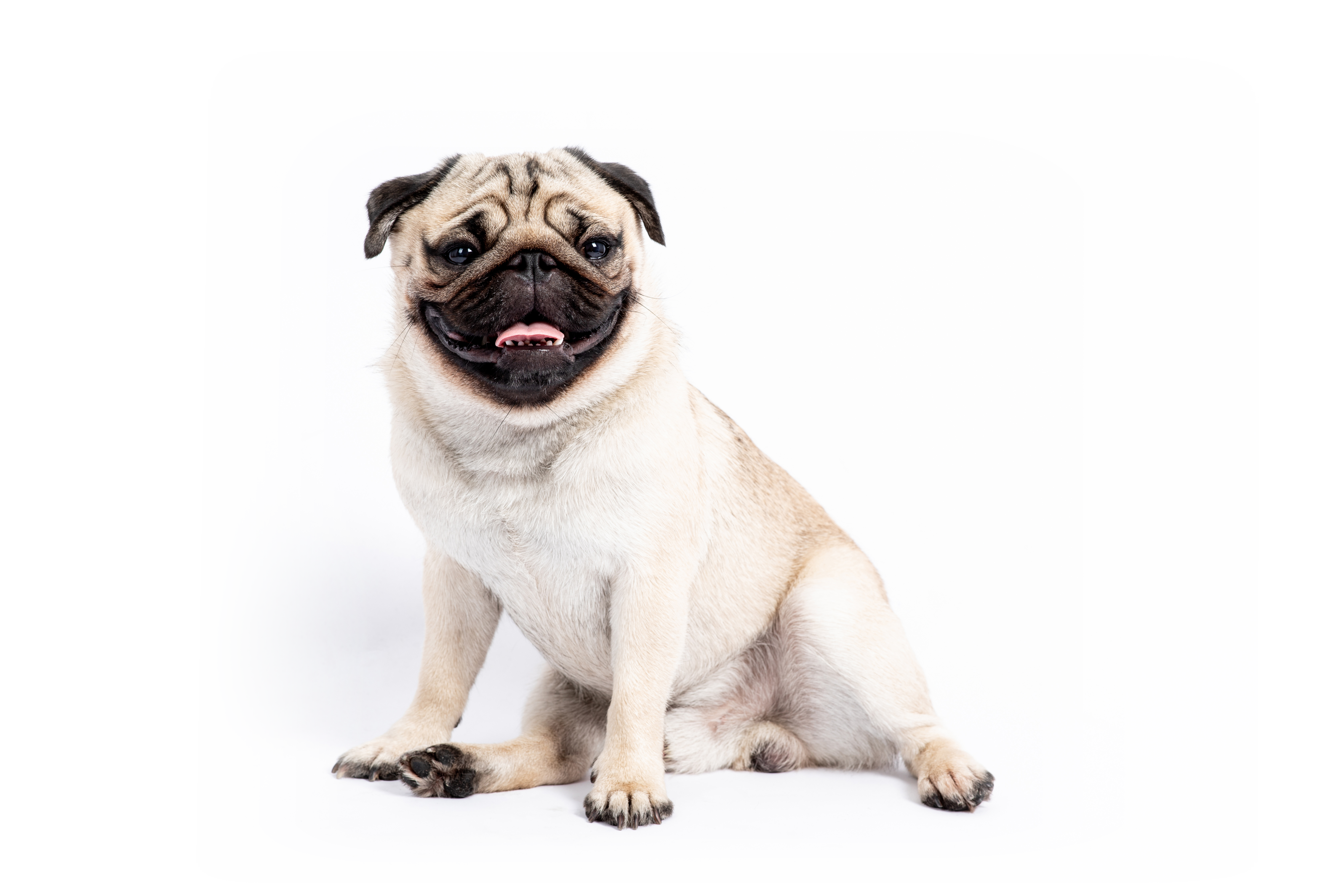 mops